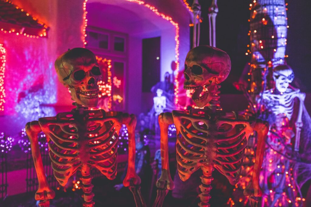 Themafeest ideeën en voorbeelden – 43 thema’s 9 Halloween skeletons | allround dj service