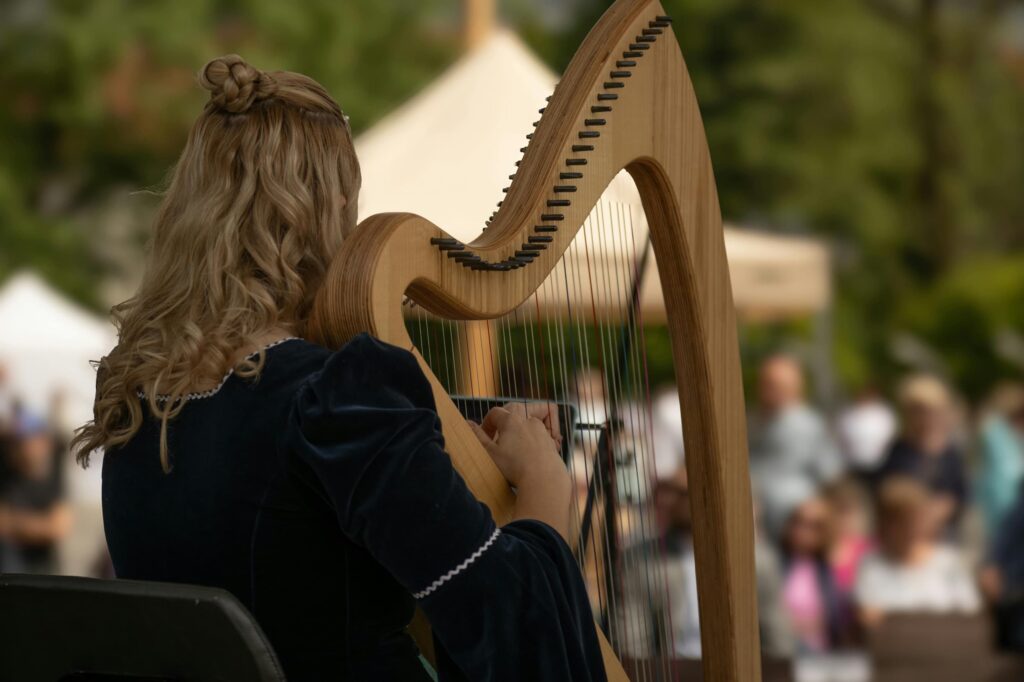 Harpist op een bruiloft | allround dj service